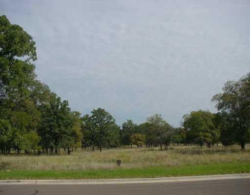 View 101 Pitchstone 101 Pitchstone - front exterior - Luxury lot in Georgetown, TX