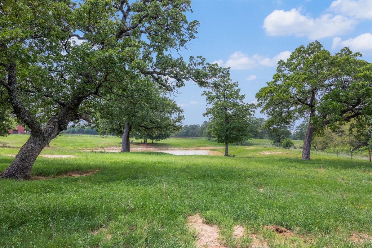 View 1016 County Road 306 in N/A 1016 County Road 306 - front exterior - Luxury home in N/A, Rockdale, TX