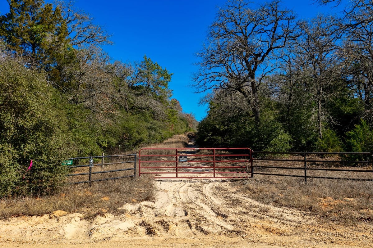 View 10162 County Road 321 in Benton Schulze Properties 10162 County Road 321 - front exterior - Luxury lot in Benton Schulze Properties, Caldwell, TX