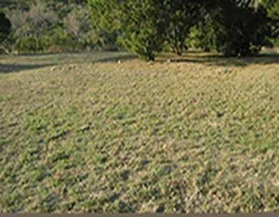 View 102 1st ST 102 1st ST - front exterior - Luxury lot in Taylor, TX