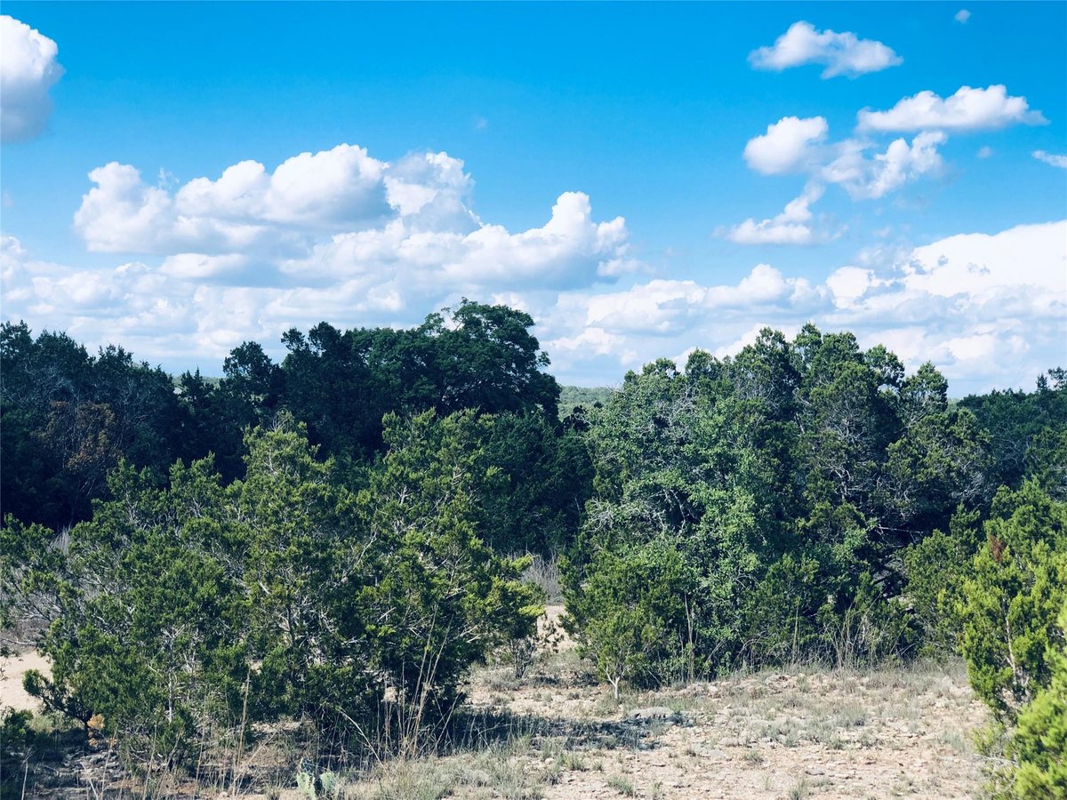 View 1020 CLIFF CIRCLE Dr in LAKE OF THE HILLS WEST 1020 CLIFF CIRCLE Dr - front exterior - Luxury lot in LAKE OF THE HILLS WEST, Spring Branch, TX