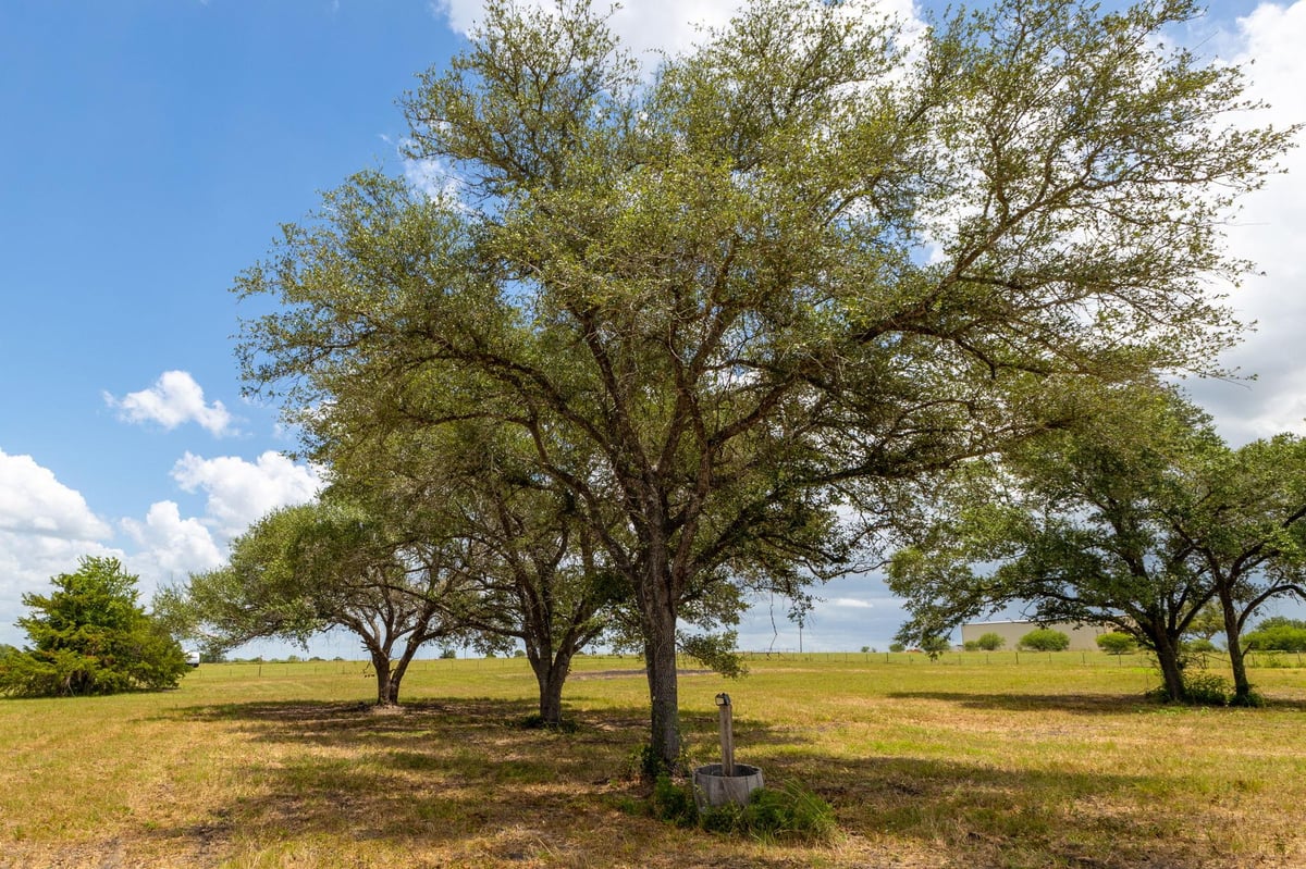 View 1021 E Old Hallettsville RD in ABS A180 FAIRES W A, 6.167 ACRES,NO BLDGS OR M 1021 E Old Hallettsville RD - front exterior - Luxury lot in ABS A180 FAIRES W A, 6.167 ACRES,NO BLDGS OR M, Flatonia, TX