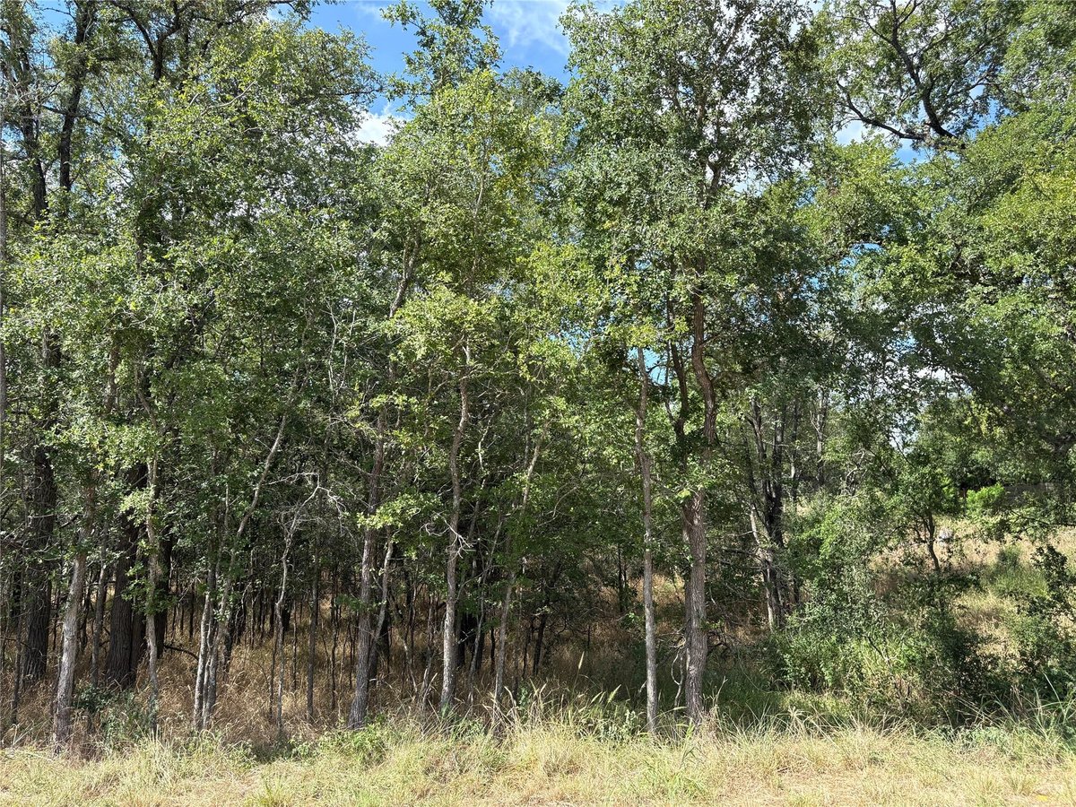 View 103 & 105 W Kikipua Ln in Tahitian Village, 103 & 105 W Kikipua Ln - front exterior - Luxury lot in Tahitian Village,, Bastrop, TX