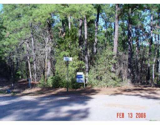 View 104 Long TRL 104 Long TRL - front exterior - Luxury lot in Smithville, TX