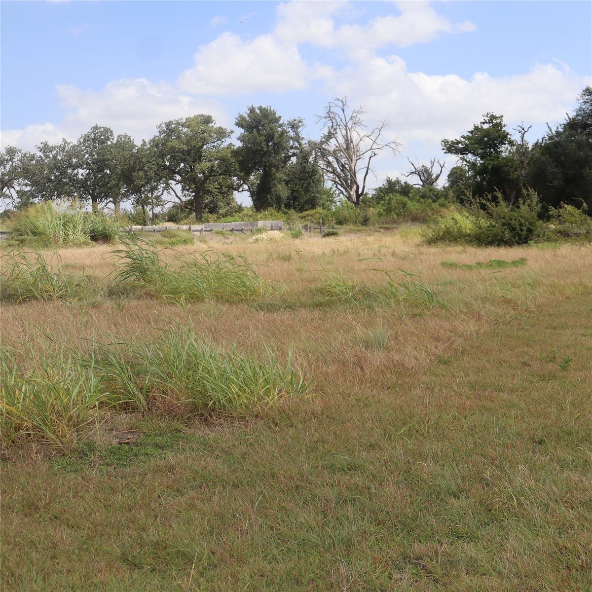104 Mesones RD - property photo 1 - Luxury lot in San Augustin, Florence, TX