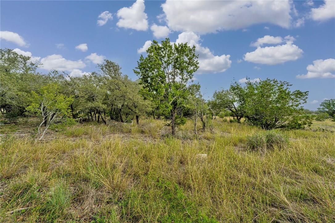 View 104 Rocky Summit Ct in Spicewood Trails 104 Rocky Summit Ct - front exterior - Luxury lot in Spicewood Trails, Spicewood, TX
