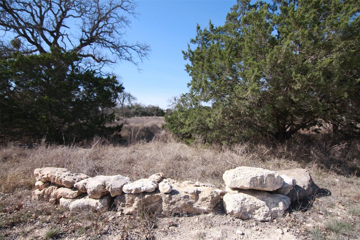 Primary bedroom at 105 Daisy Ln - Vitolich Plaza, Dripping Springs, TX