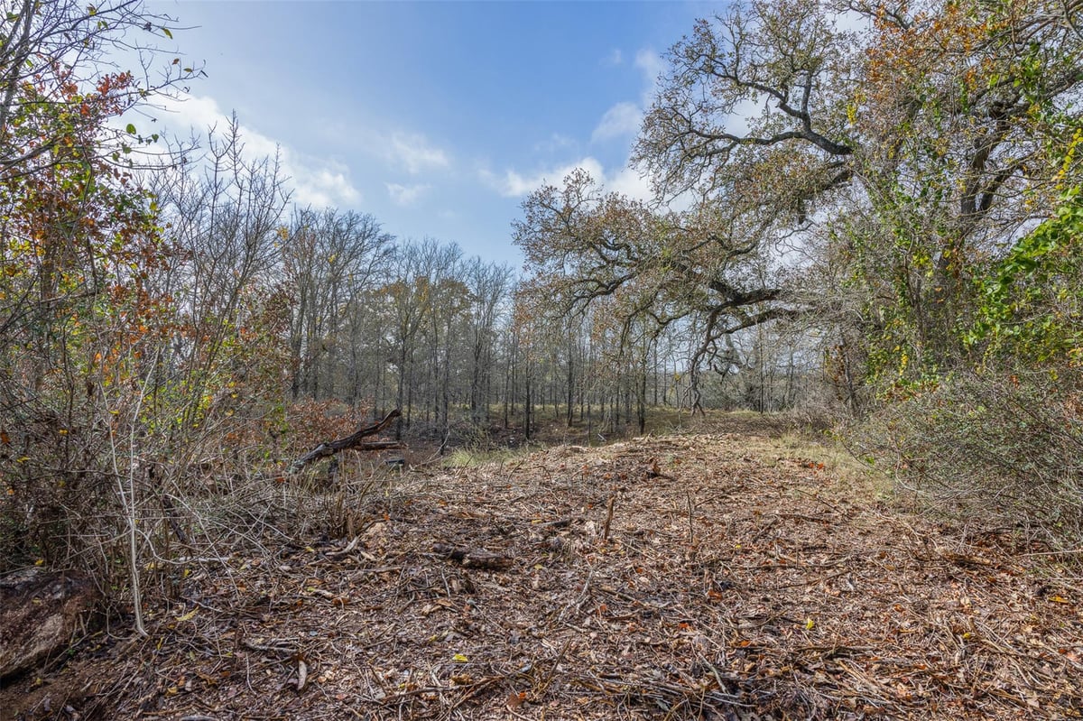 View 1050 Bugtussle Ln in Paso Fino Meadows 1050 Bugtussle Ln - front exterior - Luxury lot in Paso Fino Meadows, Luling, TX