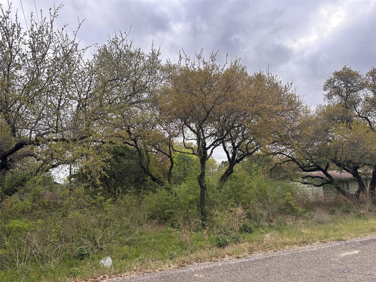 View 10509 W Lakeview Dr in Jonestown Hills 10509 W Lakeview Dr - front exterior - Luxury lot in Jonestown Hills, Jonestown, TX