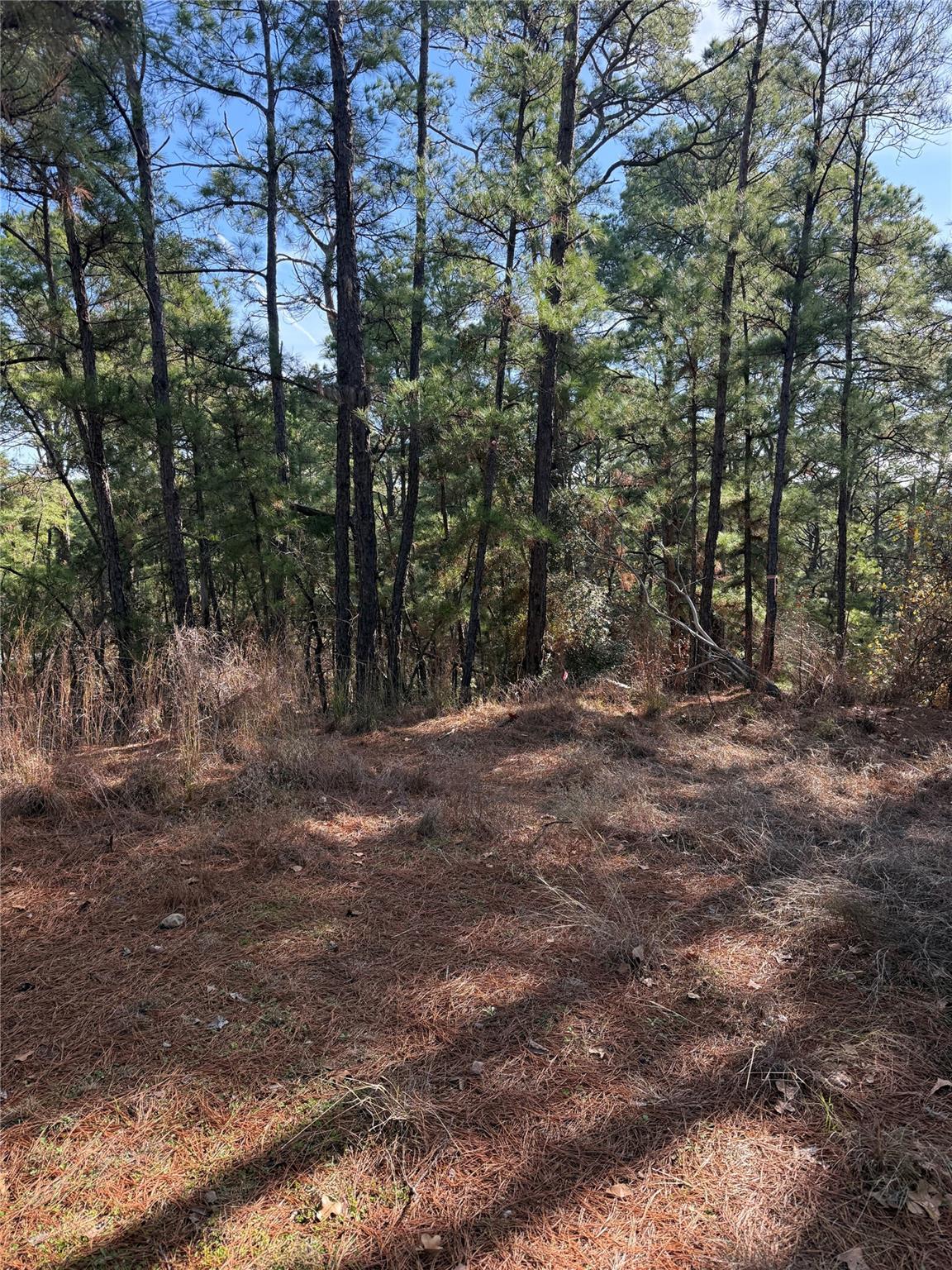 View 106 Llio Ct in Tahitian Village, 106 Llio Ct - front exterior - Luxury lot in Tahitian Village,, Bastrop, TX