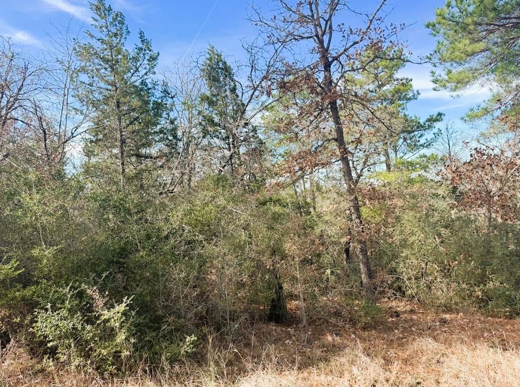 View 106 Olomana Ct in Tahitian Village, 106 Olomana Ct - front exterior - Luxury lot in Tahitian Village,, Bastrop, TX