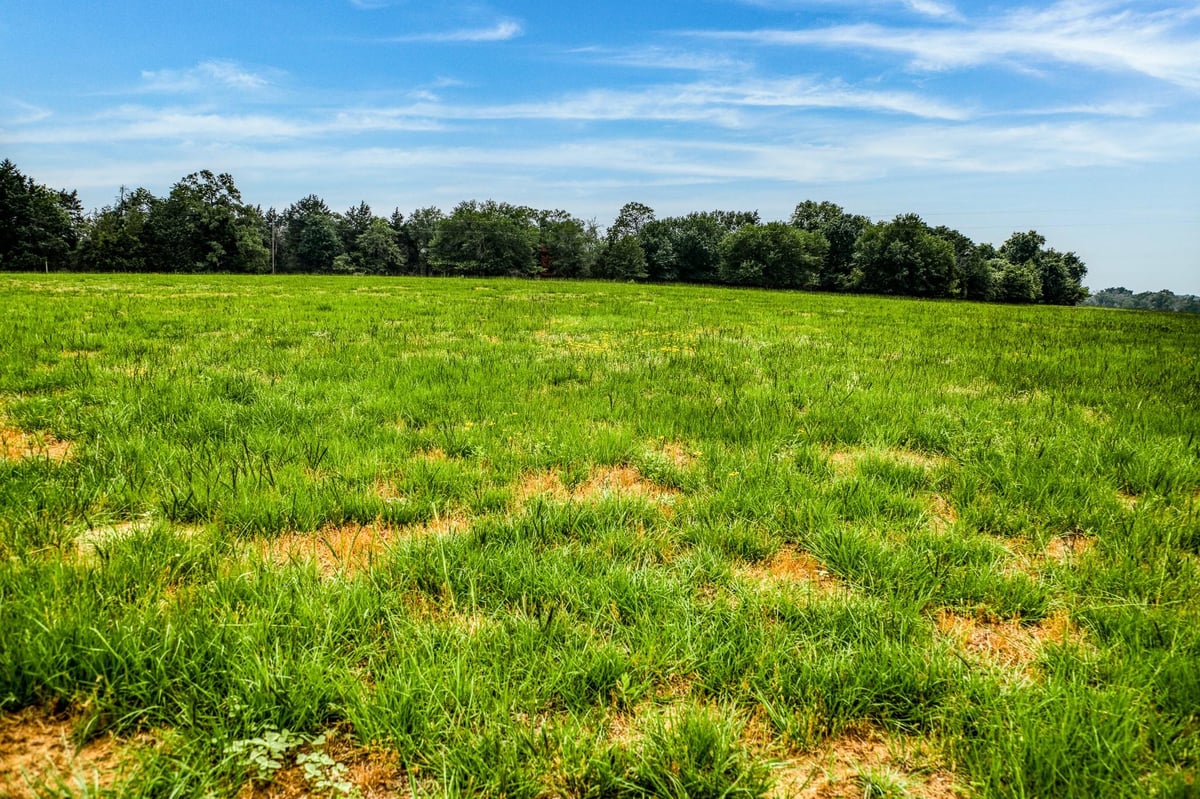 Primary bedroom at 10610 Cr 322 - A0168, Caldwell, TX