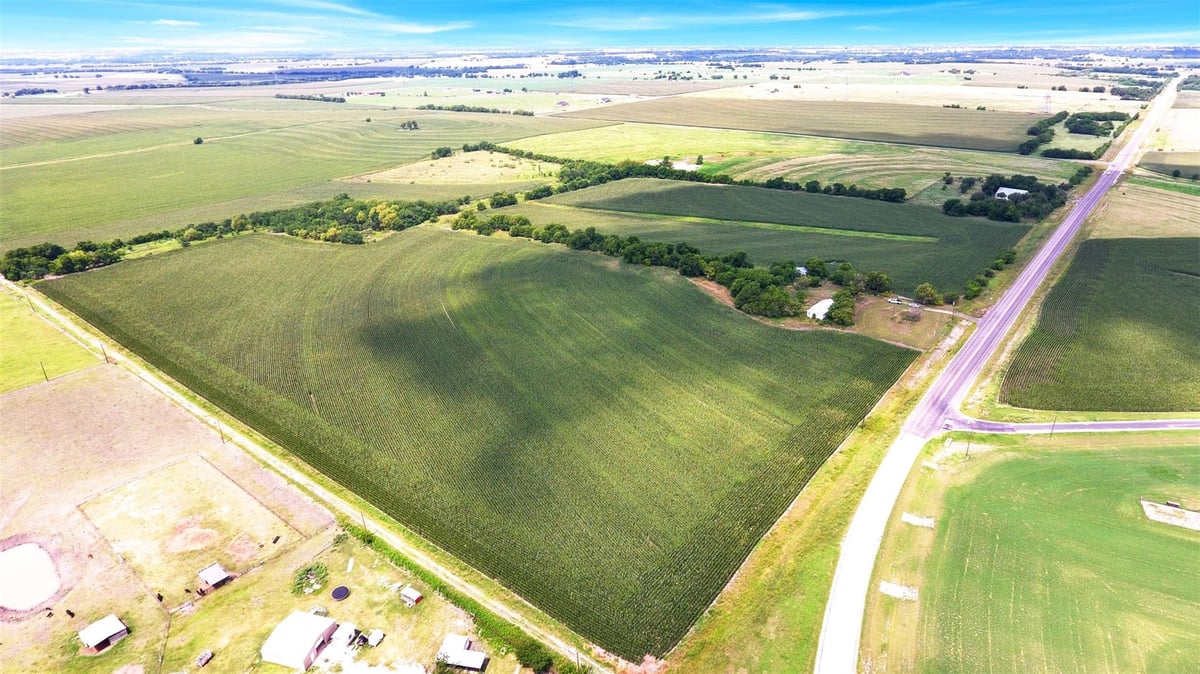 View 10650 Fm 971 Rd in Granger 10650 Fm 971 Rd - aerial view with 10650 Fm 971 Rd in Granger - Luxury lot in Granger, Granger, TX
