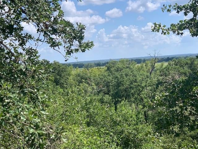 View 107 & 113 McCarthy Dr in Colovista Estates Section Two 107 & 113 McCarthy Dr - front exterior - Luxury lot in Colovista Estates Section Two, Bastrop, TX