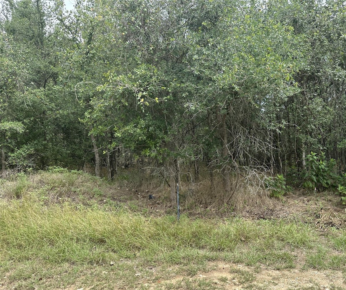 View 107 Halawa CT in Tahitian Village, 107 Halawa CT - front exterior - Luxury lot in Tahitian Village,, Bastrop, TX