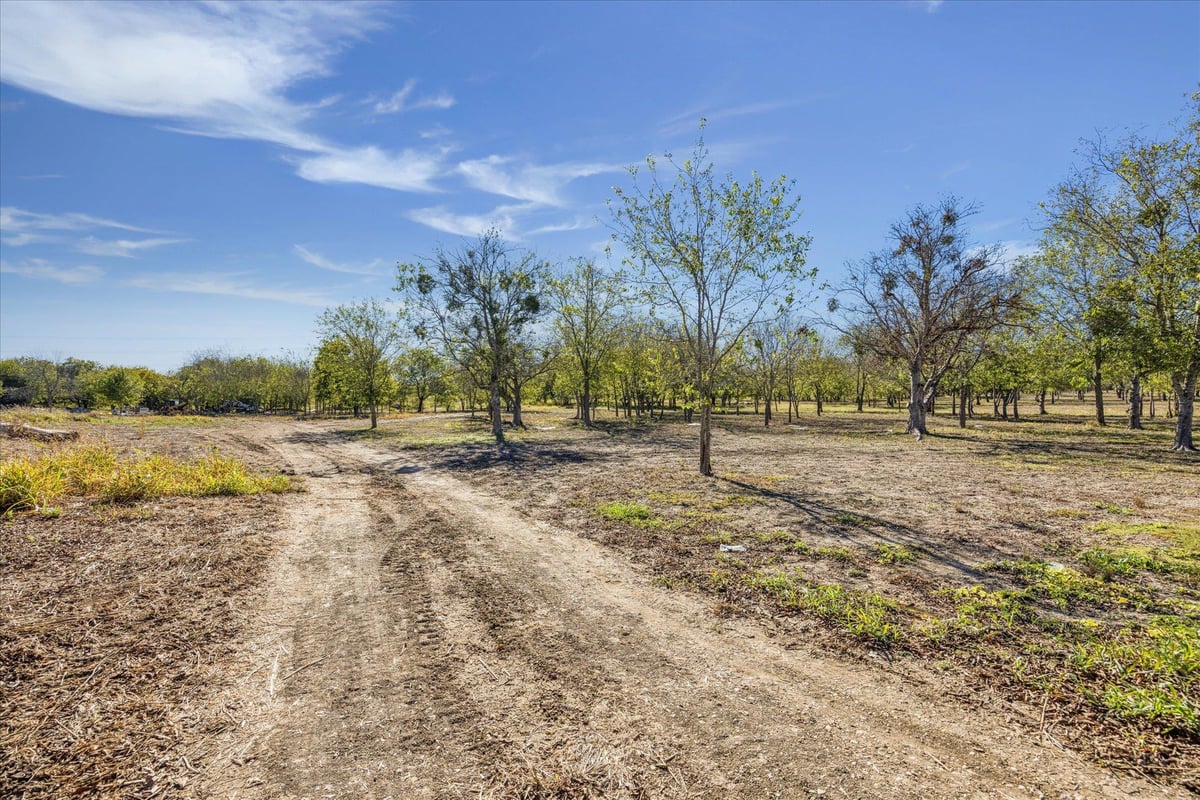 View 10719 San Jose Ave in none 10719 San Jose Ave - front exterior - Luxury lot in none, Del Valle, TX