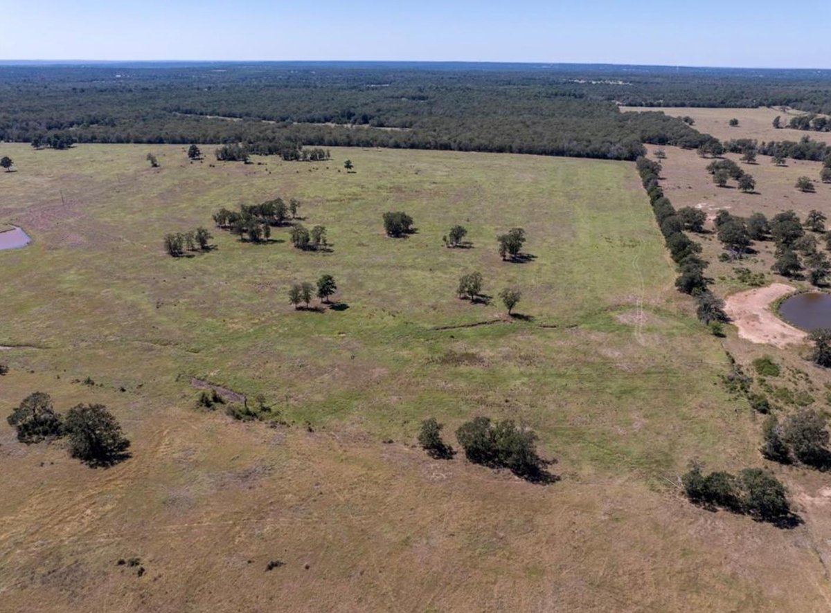 Primary bedroom at 1078 Old Pin Oak Rd Unit #Tract 2 - Holderman, Paige, TX
