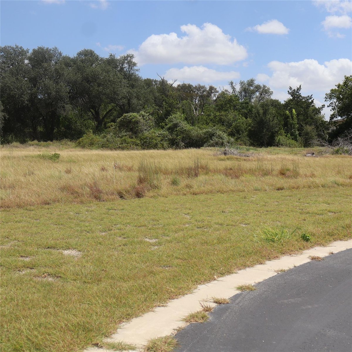 108 Mesones RD - property photo 1 - Luxury lot in San Augustin, Florence, TX
