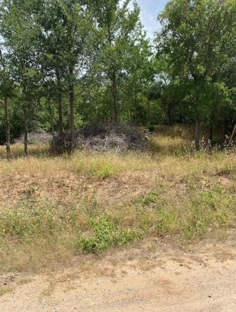 View 108 W Kikipua Ln in Tahitian Village, 108 W Kikipua Ln - front exterior - Luxury lot in Tahitian Village,, Bastrop, TX