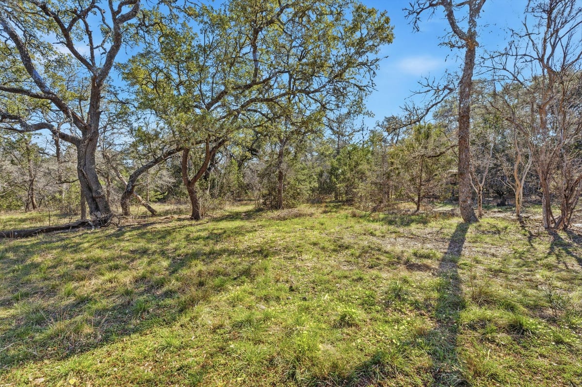View 1081 Clark Cv in Ruby Ranch Ph 4 1081 Clark Cv - property photo 1 - Luxury home in Ruby Ranch Ph 4, Buda, TX