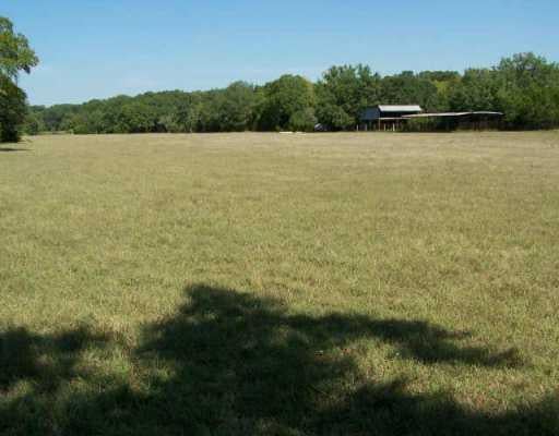 View 10855 FM 150 10855 FM 150 - front exterior - Luxury home in Driftwood, TX