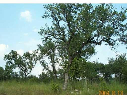 View 109 Cowal 109 Cowal - front exterior - Luxury lot in Briarcliff, TX