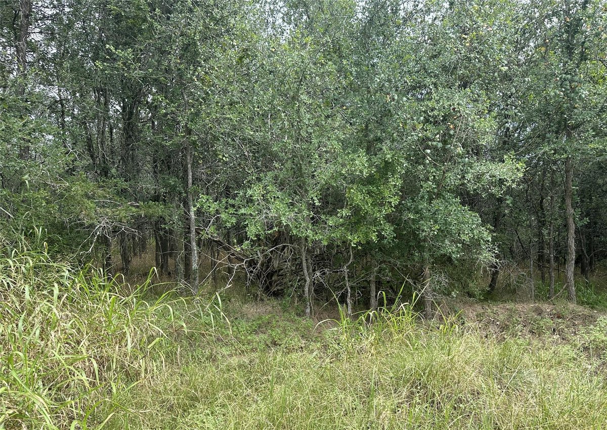 View 109 Halawa CT in Tahitian Village, 109 Halawa CT - front exterior - Luxury lot in Tahitian Village,, Bastrop, TX
