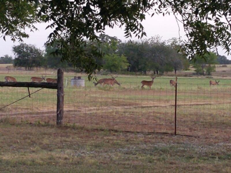 View 10905 S. FM 1915 FM 1915 Highway in Buckholts 10905 S. FM 1915 FM 1915 Highway, photo 1 of 17, Buckholts, Buckholts, TX