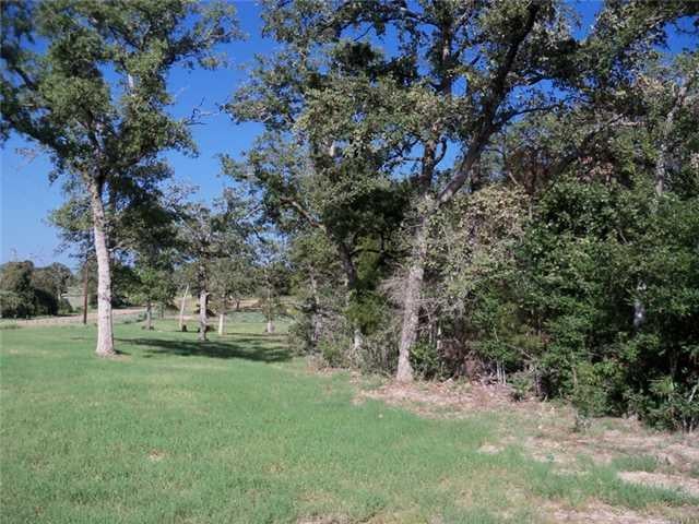 View 11.821 County Road 405 11.821 County Road 405 - front exterior - Luxury home in Lexington, TX