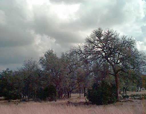 View 110 Cherry Wood Ct 110 Cherry Wood Ct - property photo 1 - Luxury lot in Georgetown, TX