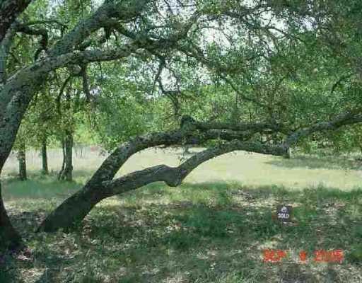 View 110 Discreet 110 Discreet - front exterior - Luxury lot in Horseshoe Bay, TX