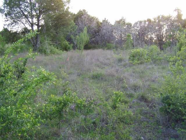View 11021 Jones RD 11021 Jones RD - property photo 1 - Luxury home in Manor, TX