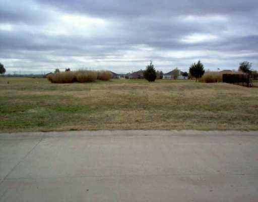 View 111 Fairway 111 Fairway - front exterior - Luxury lot in Bastrop, TX