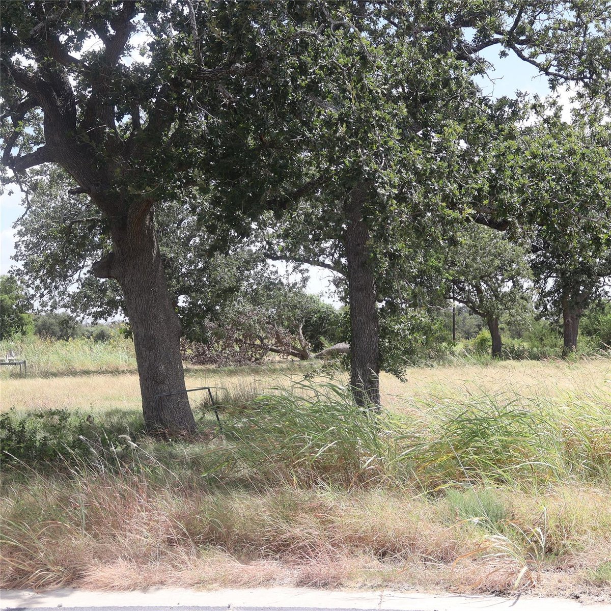 View 112 Mesones RD in San Augustin 112 Mesones RD - property photo 1 - Luxury lot in San Augustin, Florence, TX