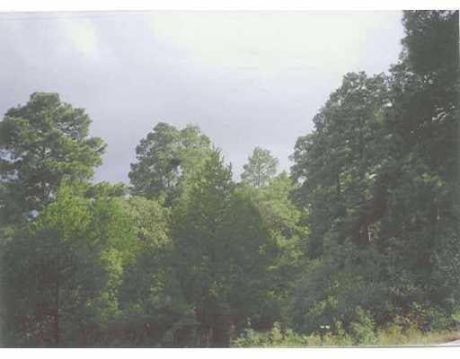 View 113 Branding Iron Dr 113 Branding Iron Dr - front exterior - Luxury lot in Smithville, TX