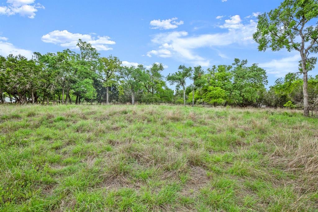 View 113 Concord Cir in Radiance Ph I 113 Concord Cir - front exterior - Luxury lot in Radiance Ph I, Austin, TX