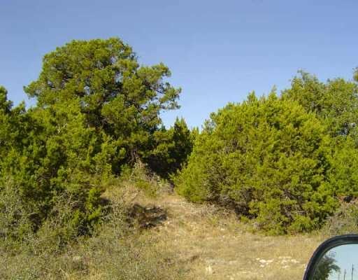 View 11391 Mountain Top CIR 11391 Mountain Top CIR - front exterior - Luxury lot in Jonestown, TX