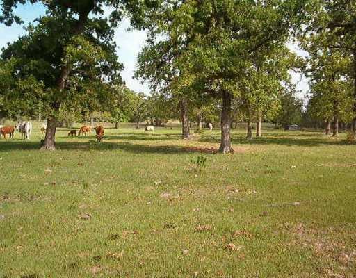 View 1142 Private Road 7019 1142 Private Road 7019 - front exterior - Luxury home in Lexington, TX
