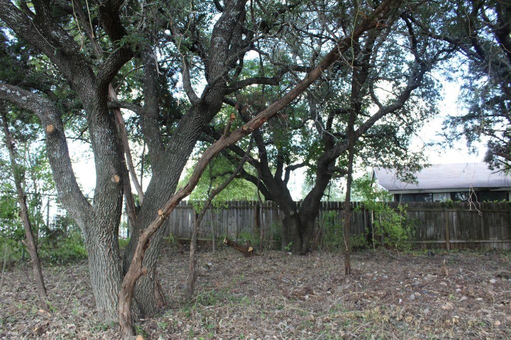 View 11502 Bee St in Jonestown Hills 11502 Bee St - front exterior - Luxury lot in Jonestown Hills, Jonestown, TX