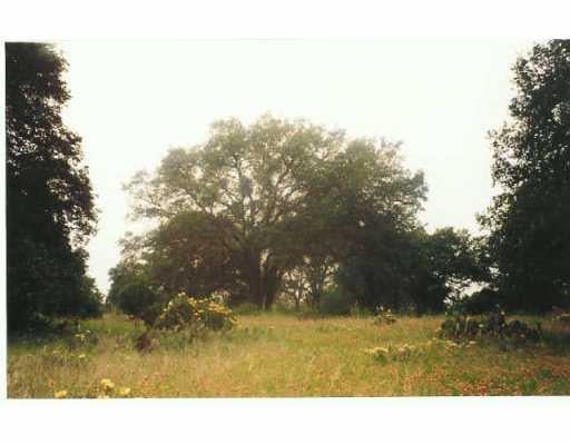 View 1165 Ruby Ranch RD 1165 Ruby Ranch RD - front exterior - Luxury lot in Buda, TX