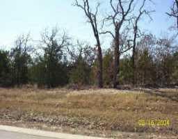 View 117 Hornsby TRL 117 Hornsby TRL - front exterior - Luxury lot in Bastrop, TX