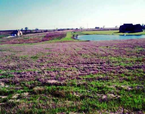 View 117 Lookout Cir 117 Lookout Cir - property photo 1 - Luxury lot in Hutto, TX