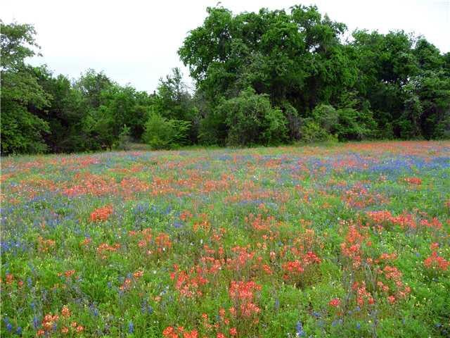 View 1185 Sand Holler RD 1185 Sand Holler RD - front exterior - Luxury home in Dale, TX