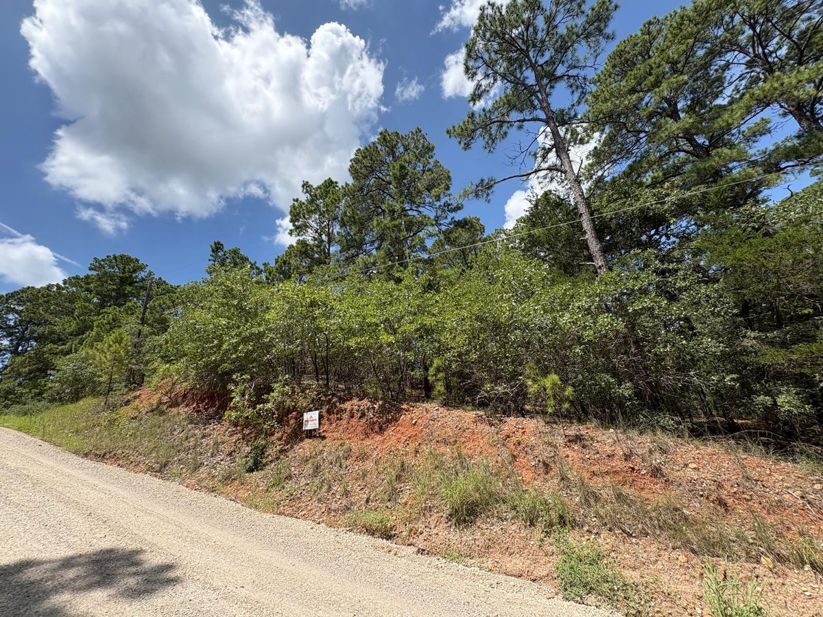 View 120 Molokini Dr in Tahitian Village 120 Molokini Dr - front exterior - Luxury lot in Tahitian Village, Bastrop, TX