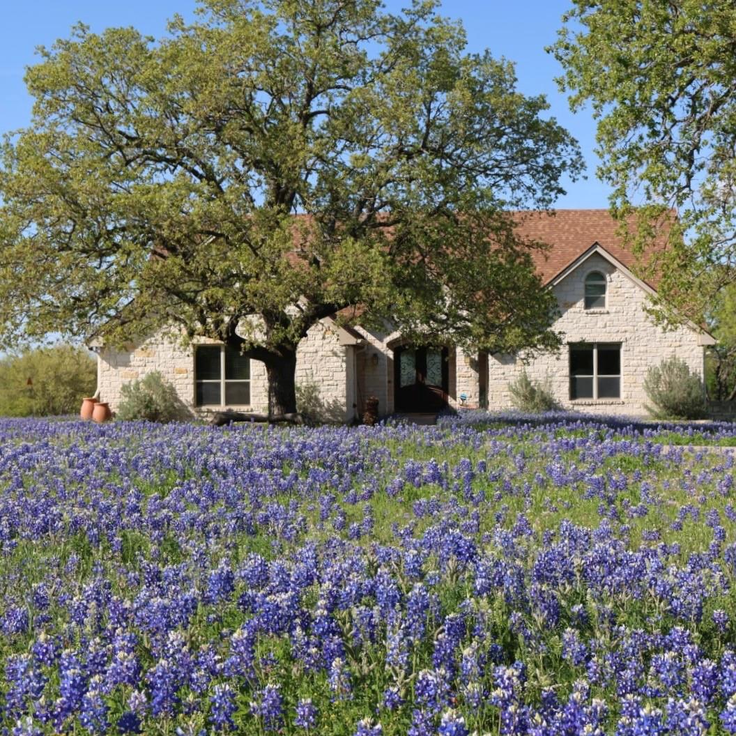 View 120 Oak Meadow Trl in Double Horn 120 Oak Meadow Trl - front exterior - Luxury home in Double Horn, Spicewood, TX