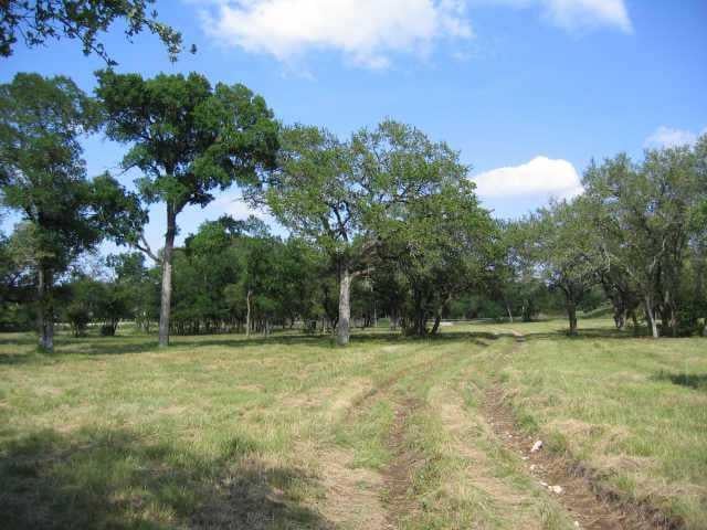 View 120 Onion Creek Ranch RD 120 Onion Creek Ranch RD - front exterior - Luxury lot in Driftwood, TX