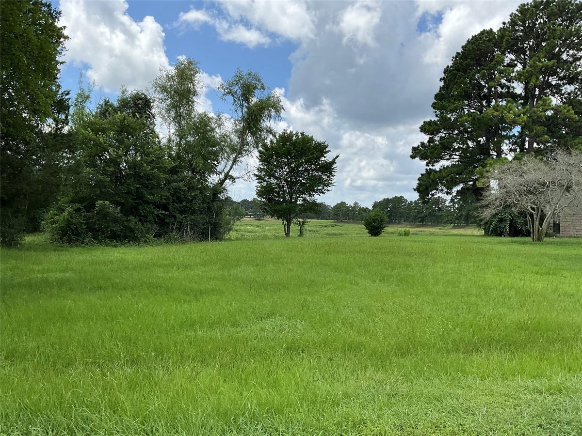 View 120 Shore Front Dr in Circle D 120 Shore Front Dr - front exterior - Luxury lot in Circle D, Bastrop, TX
