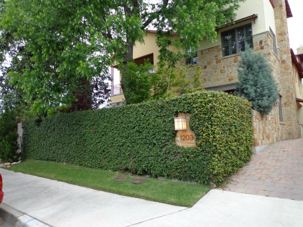 View 1203 Elm ST Unit #A in Brownstone Condo 1203 Elm ST Unit #A - property photo 1 - Luxury home in Brownstone Condo, Austin, TX