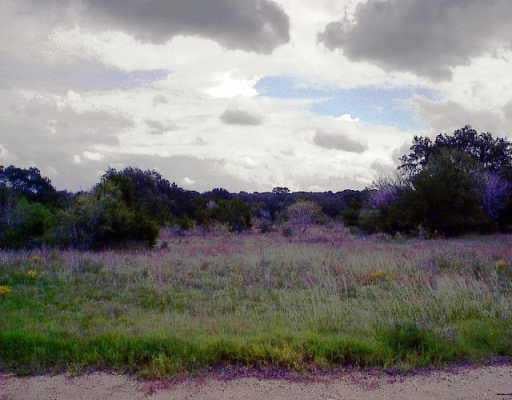 View 1211 Ruby Ranch Rd 1211 Ruby Ranch Rd - front exterior - Luxury lot in Buda, TX