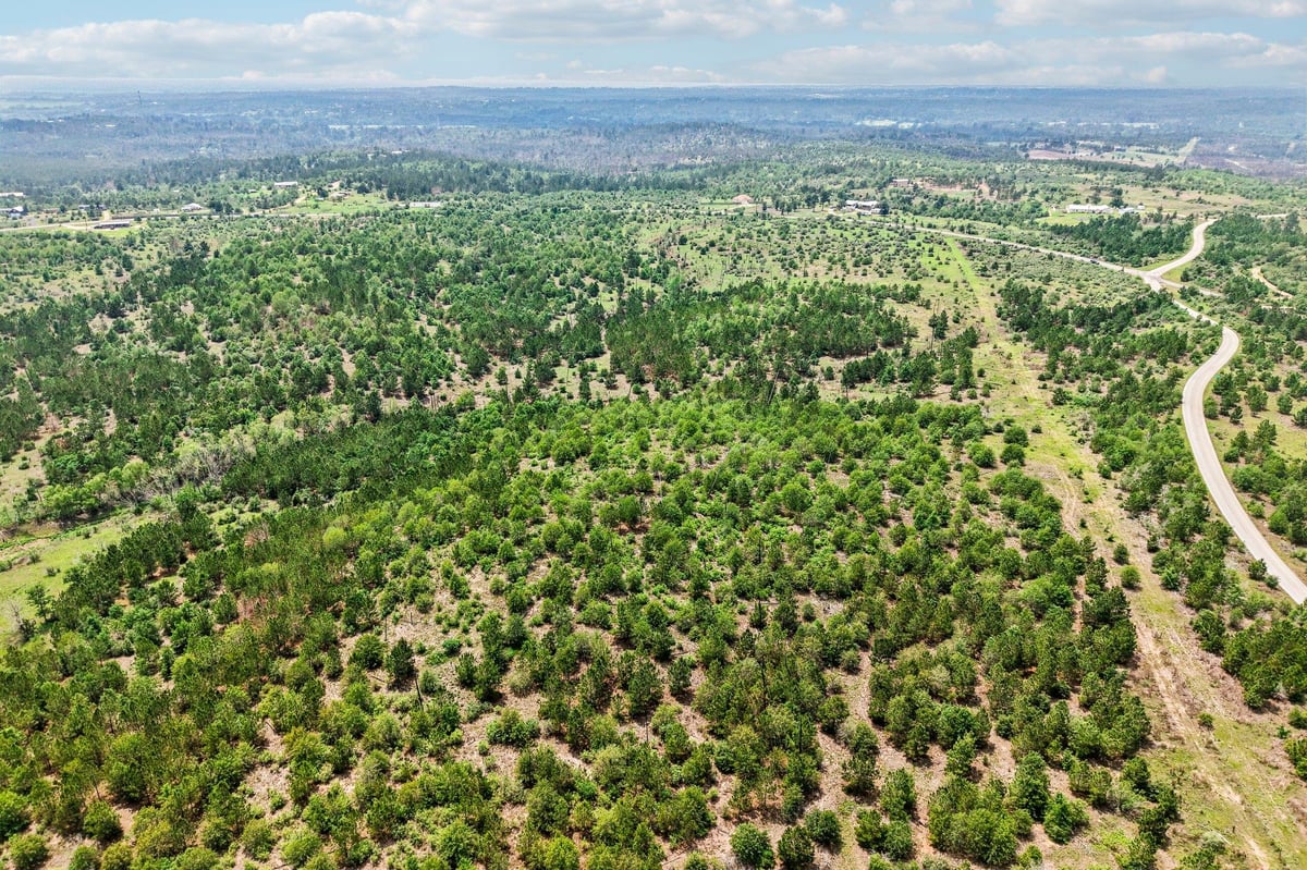 View 1213 Park Road 1C in Ortiz, Jose 1213 Park Road 1C - aerial view with 1213 Park Road 1C in Smithville - Luxury home in Ortiz, Jose, Smithville, TX